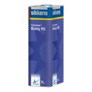 376061 Прозрачный лак AUTOCLEAR BASIQ HS/5 л